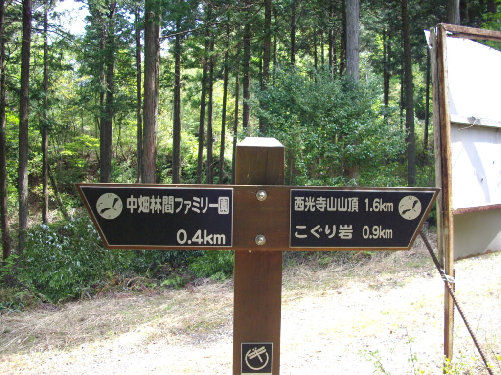 10:29 山頂まで1.6Kmです。この山にはたくさん案内があって迷うことはないんですが、距離の表示はまったく信用できません。参考程度にしたほうが無難です。