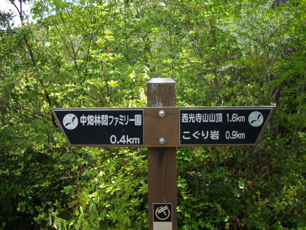 10:38 山頂まで1.6Kmの案内です。9分前と同じ物ですね。