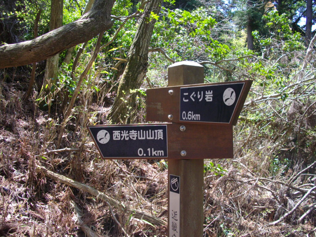 11:33 あと100mです。