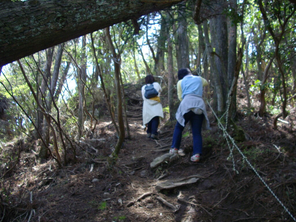 11:34 最後の急坂を登ります。