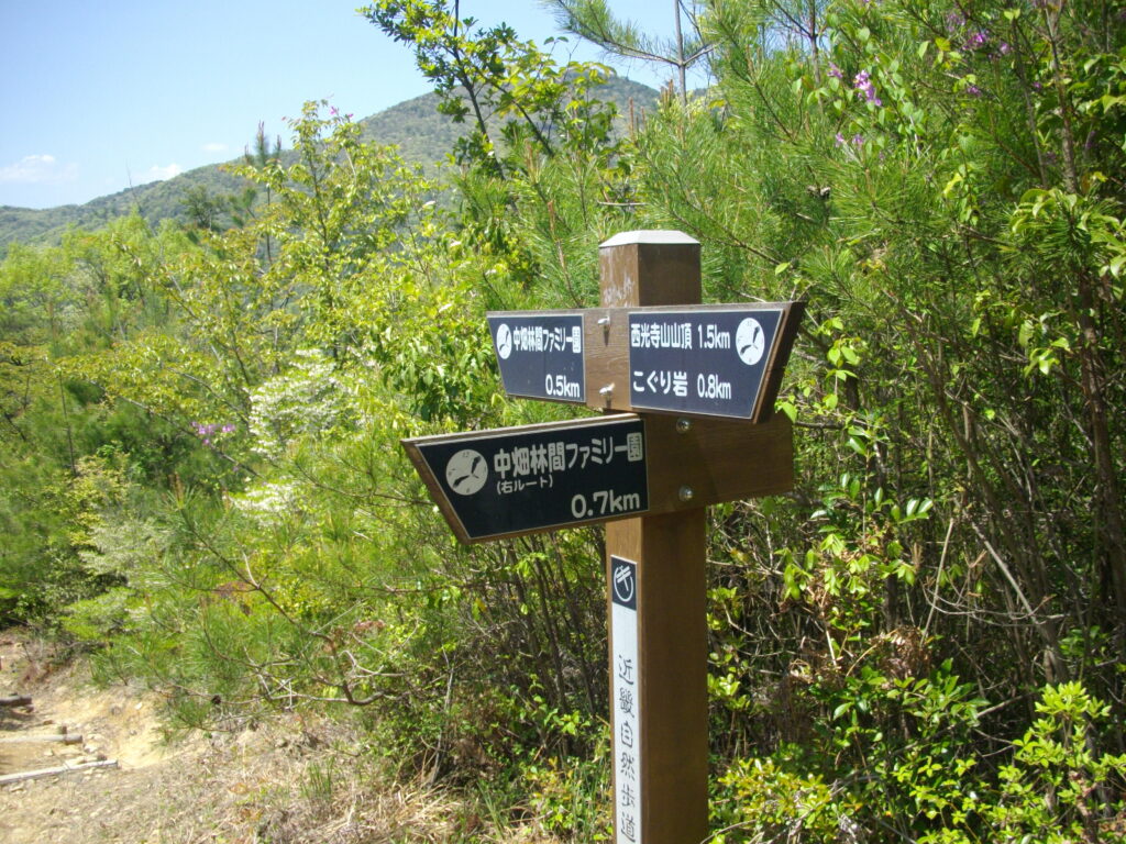 12:47 右ルートへの分岐です。こちらのルートは管理用の道路のようです。歩きやすいですが、何の変化もありません。ただ、沢沿いなので、せせらぎの音が気持ちいいです。
