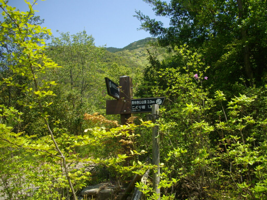 12:58 左ルートとの合流点です。あと少しで、スタート地点に戻ります。