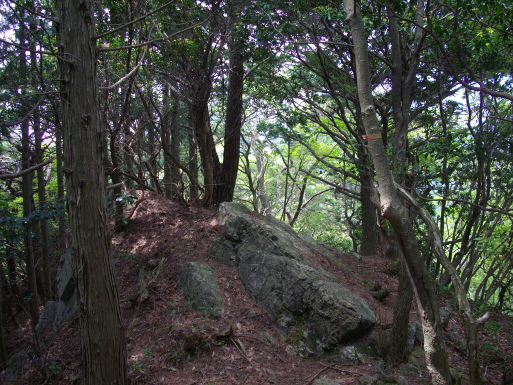 10：40　こんな感じの斜面がたくさん出てきます。