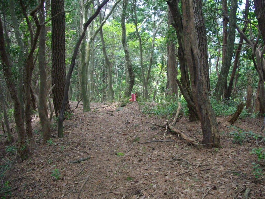 10：45　次のピークあたりです。緩やかな所もあります。