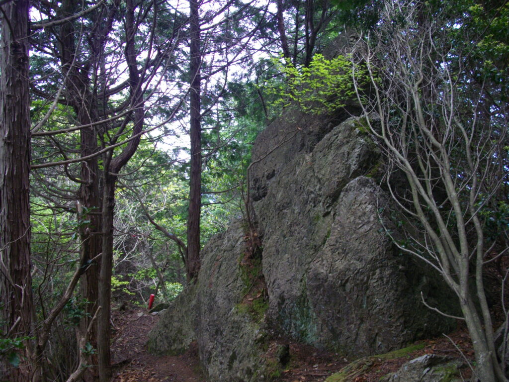10：49　ピークには大きな岩がありました。