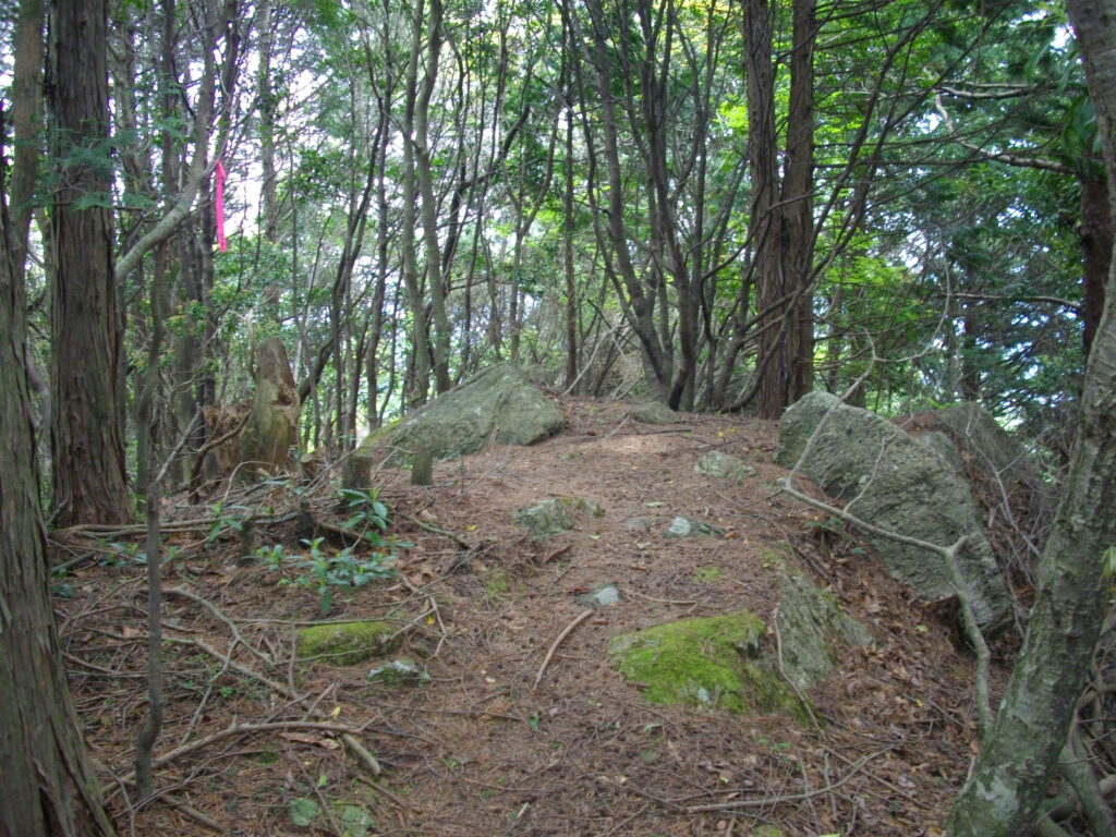 10：51　次のピークです。山頂までいくつものピークがあります。そして、その度に上り下りが続きます。