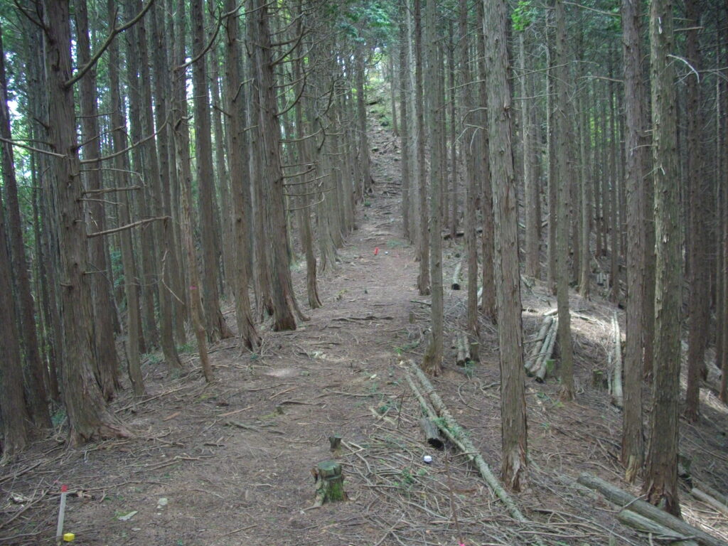 10：58　いったん鞍部に下りて、