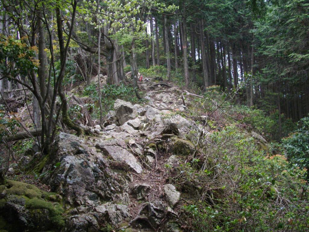 10：59　岩場の急登です。こんなのばっかりです。
