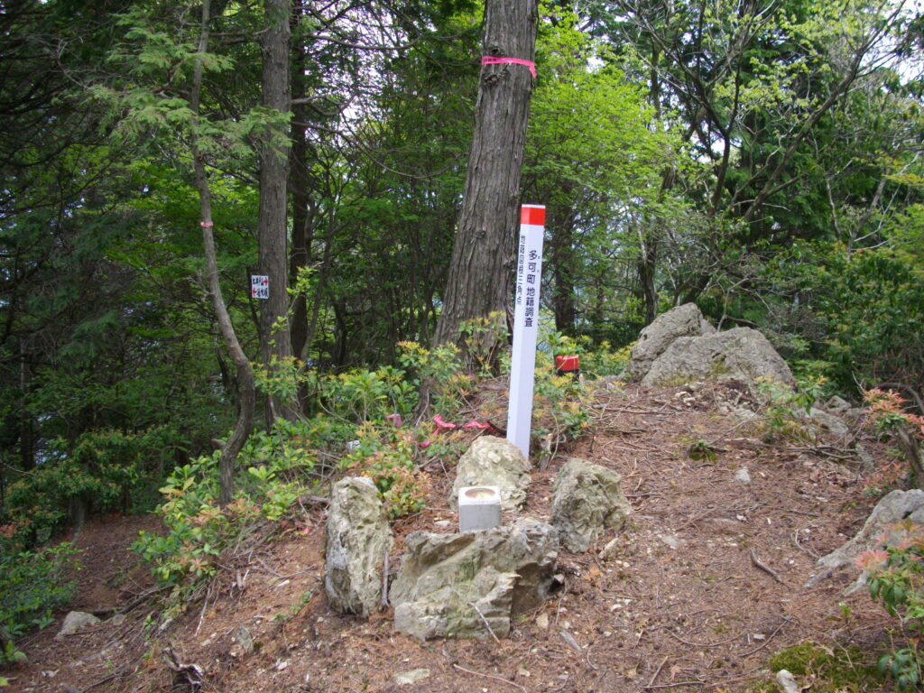 11：00　完璧にだまされたピークでした。まだまだ先です。