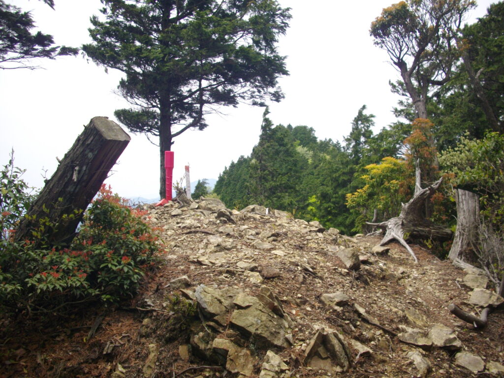 11：08　見晴らしの良いピークに出ました。