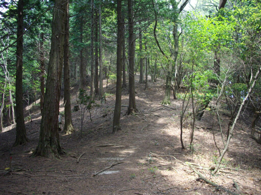 11:53 最初は緩やかな登りです。