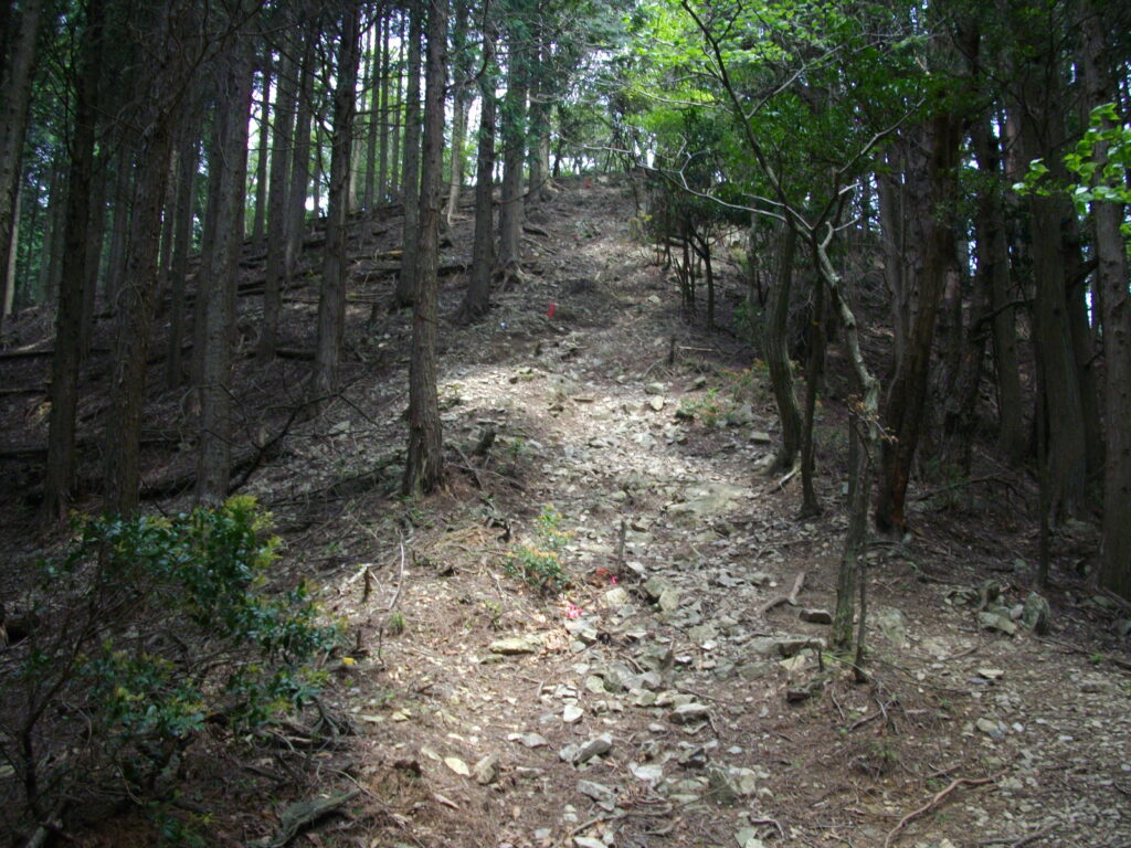 11:55 すぐに急な登りになります。