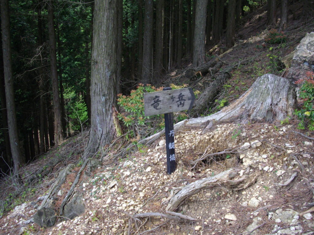 11:59 急な登りになります。角度はこれくらいです。