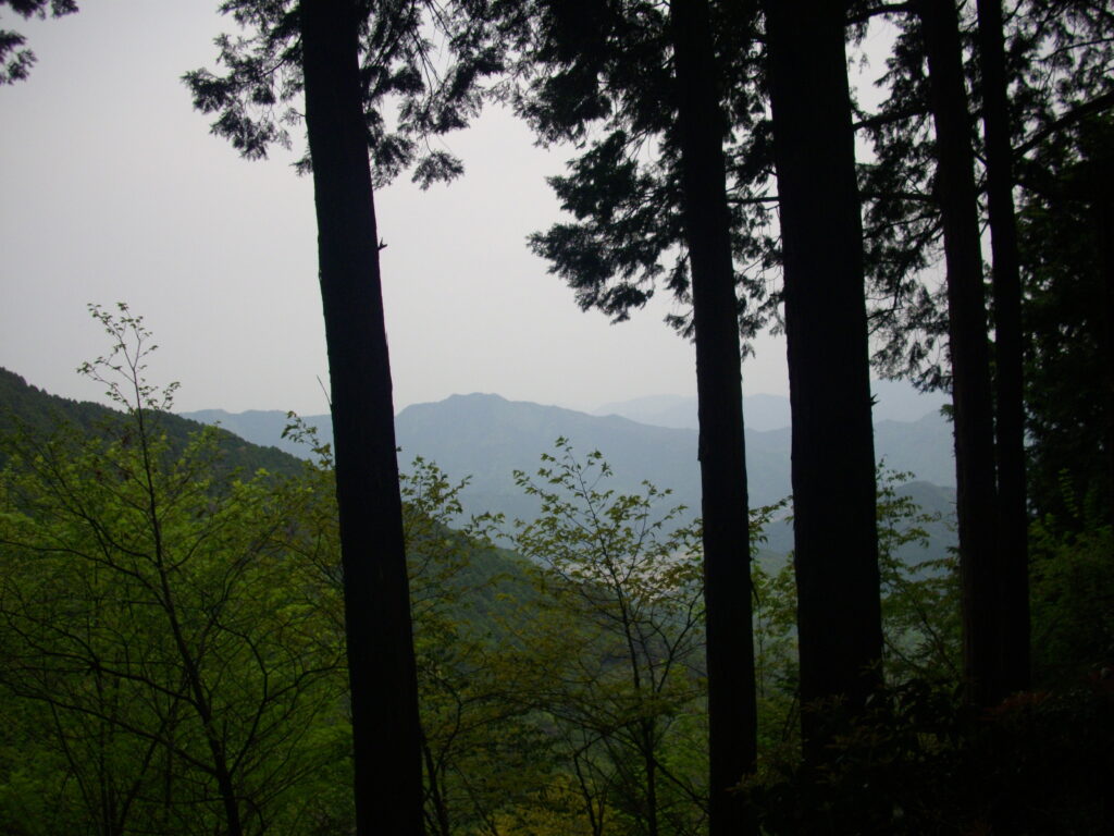 12:03 樹間から見える風景です。磁石を持っていないので、方角がわかりません。
