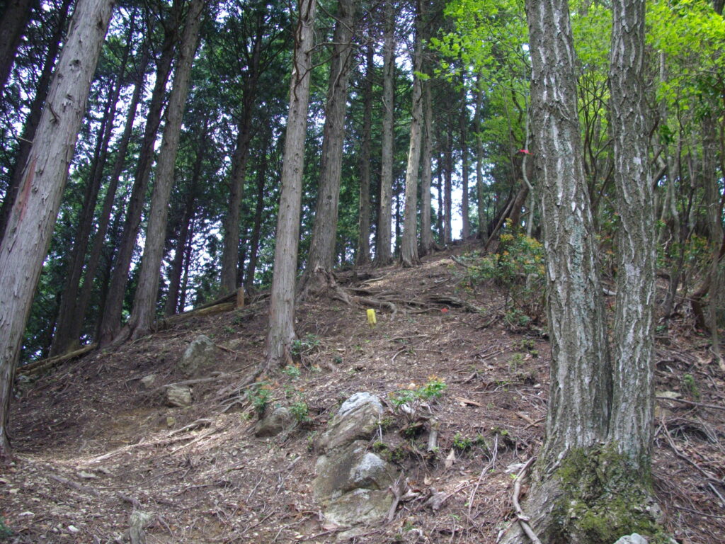 12:03 すぐにまた急な登りです。
