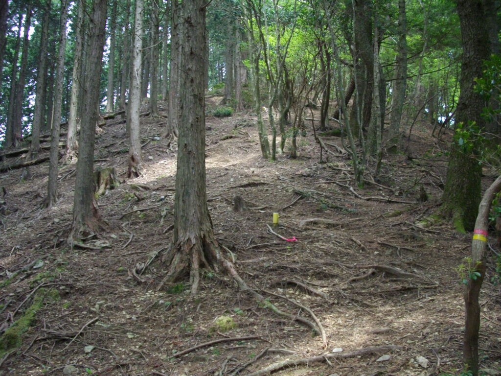 12:06 またまたすぐに、登りです。大体こんな感じを繰り返します。