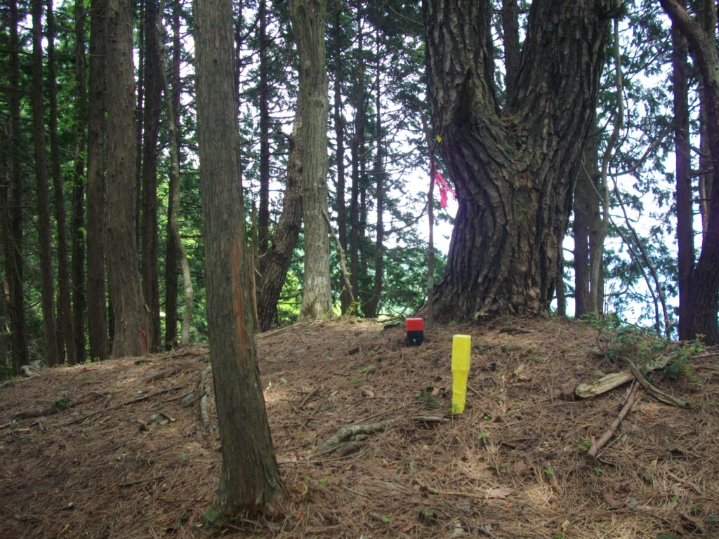 12:08 1つ目のピークです。