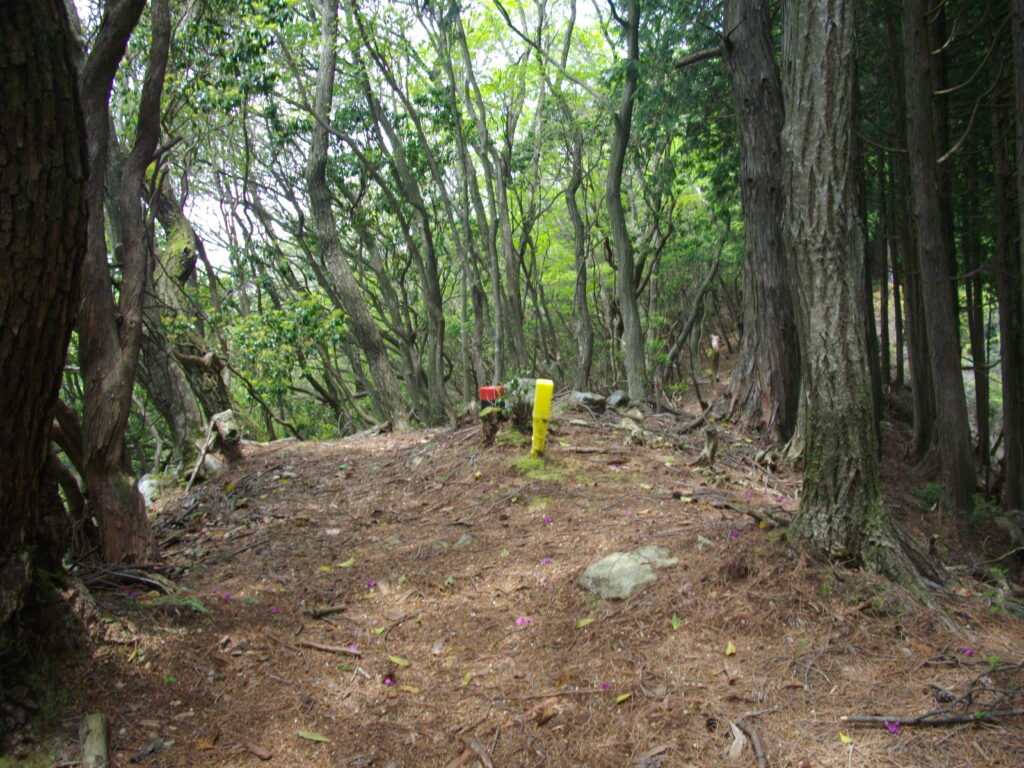 12:11 次のピークです。