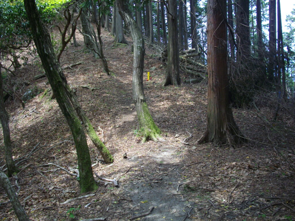 12:16 山頂手前の最後の登りです。