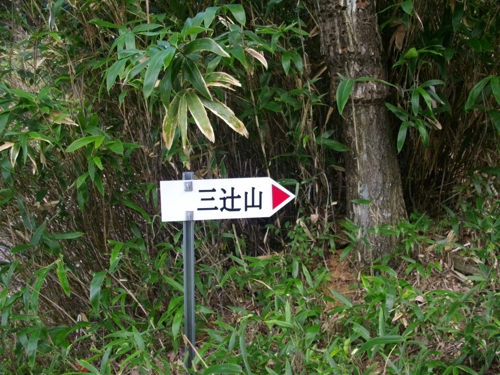 11:10 道路の反対側にある登山口。