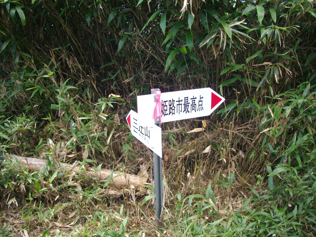 11:19 山頂への分岐です。