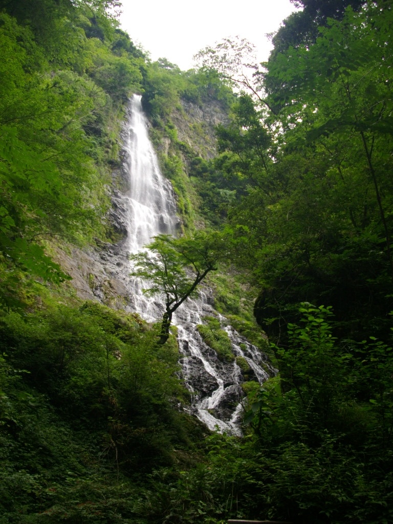 天滝とヤマビル