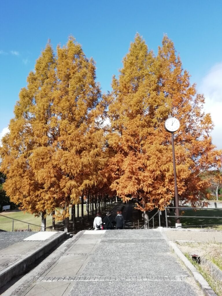 日本へそ公園の紅葉