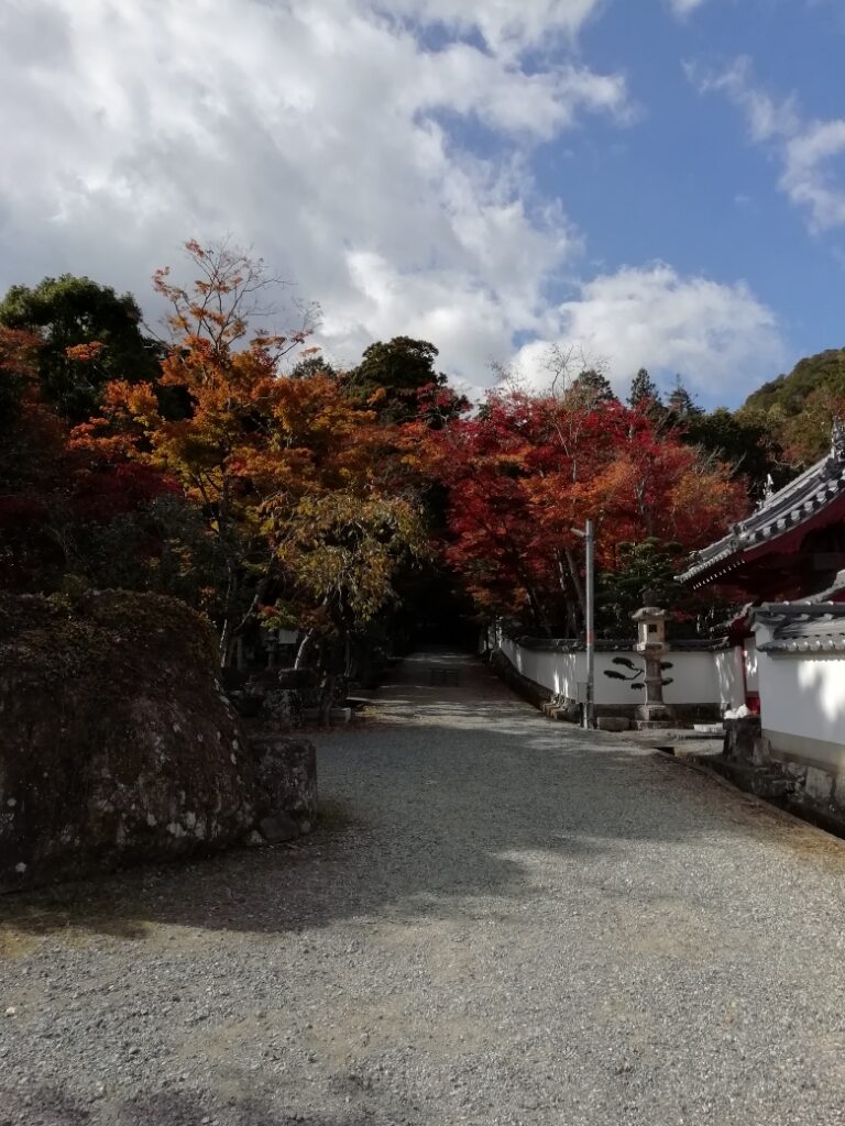 西林寺の紅葉