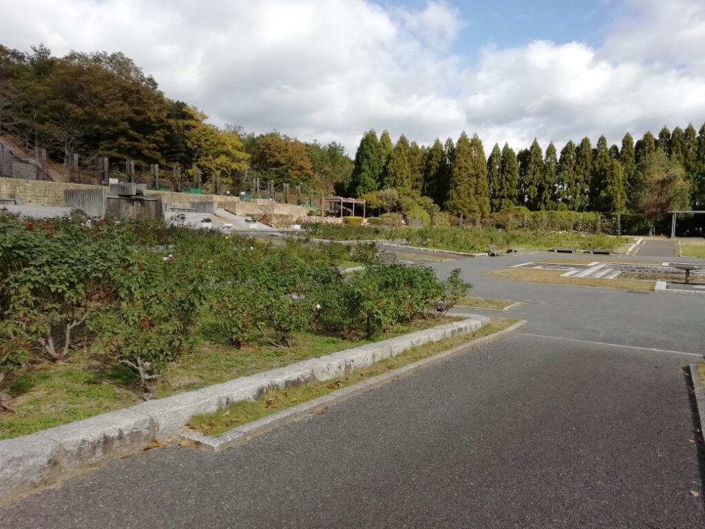 播磨中央公園へ