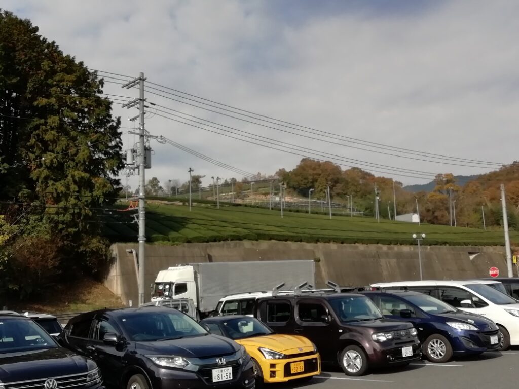 道の駅から見える茶畑