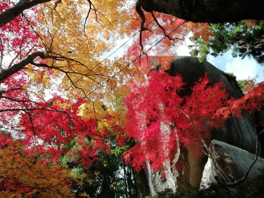 笠置寺の紅葉