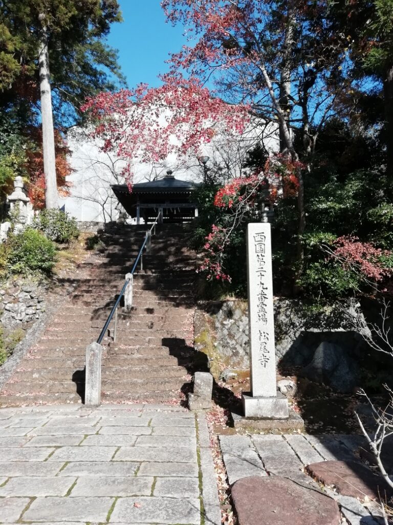 奥が本堂　ただいま修理中です。