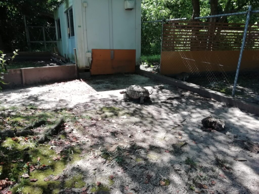 大山トム・ソーヤ牧場