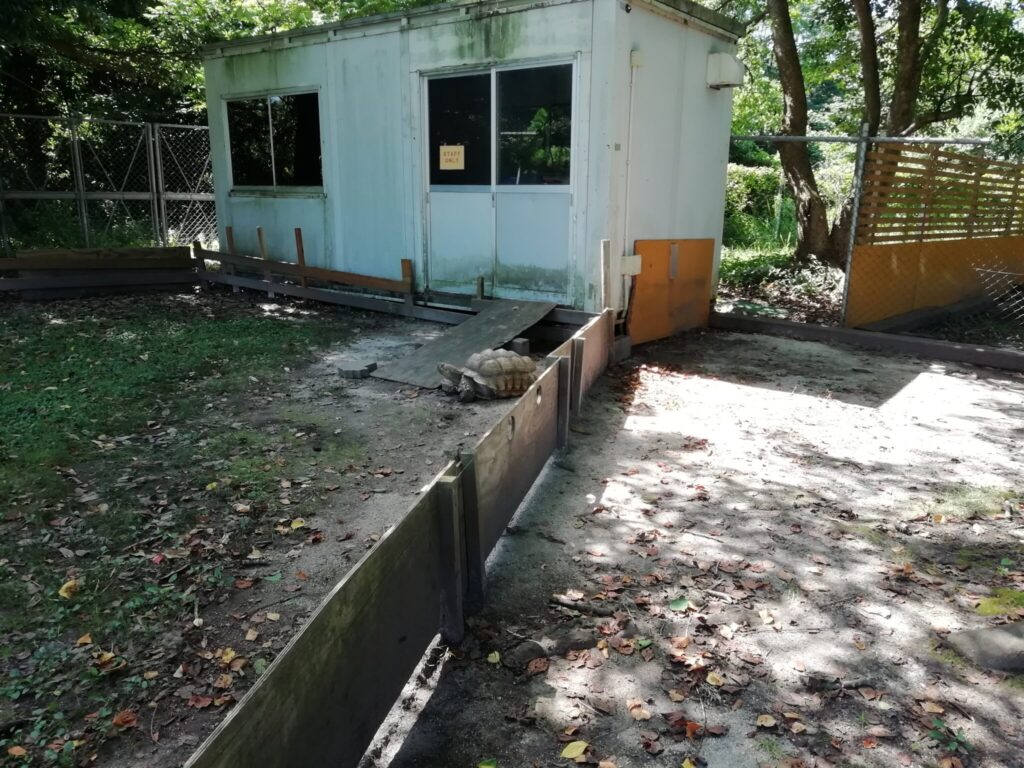 大山トム・ソーヤ牧場