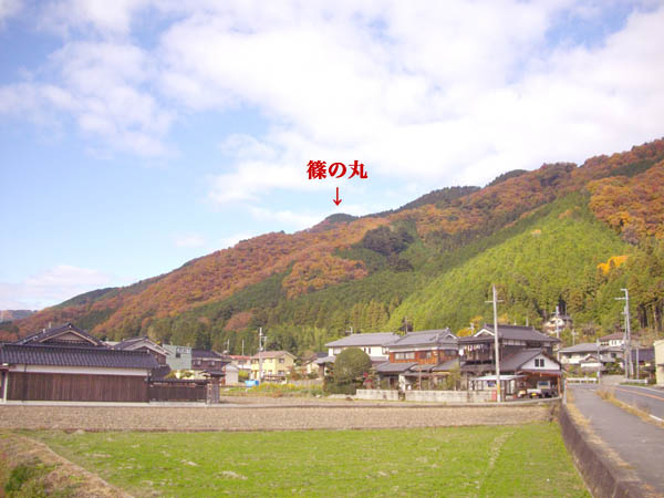 篠の丸(ささのまる)