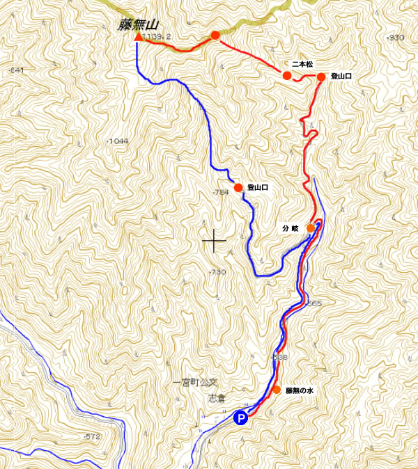 藤無山（ふじなしやま）