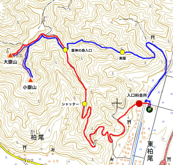 桜華園から大嶽山