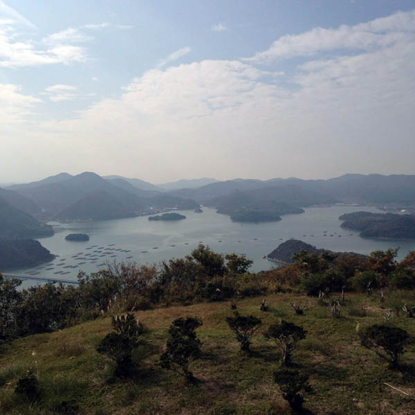 夕立受山（ゆうだちうけやま）