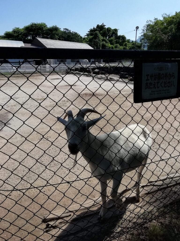 大山トム・ソーヤ牧場
