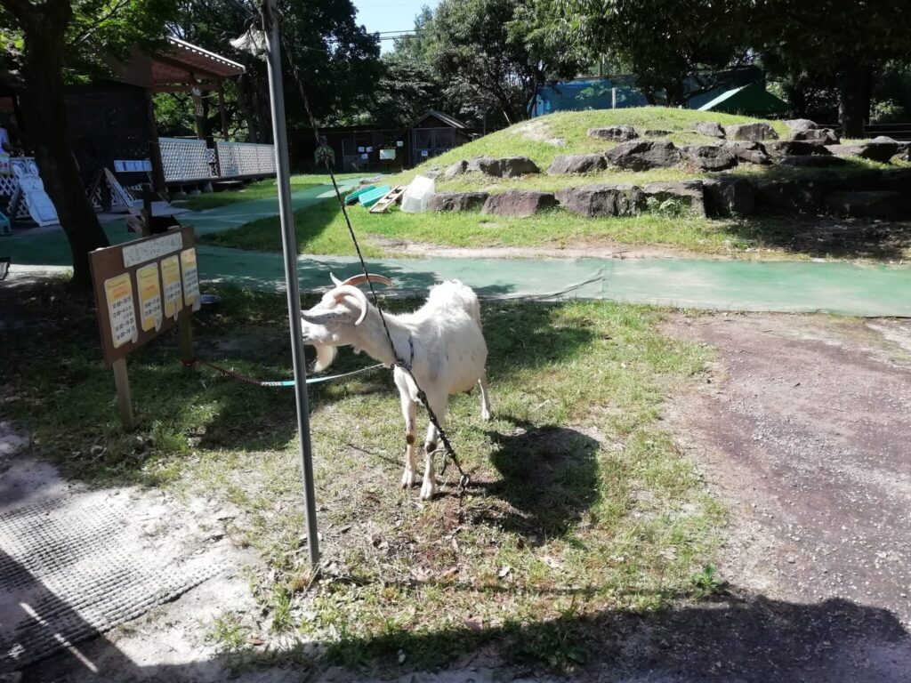 大山トム・ソーヤ牧場