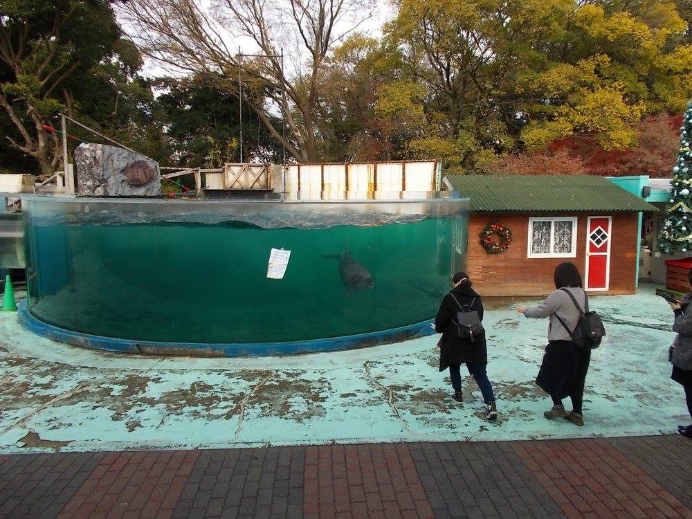 讃岐うどんと新屋島水族館