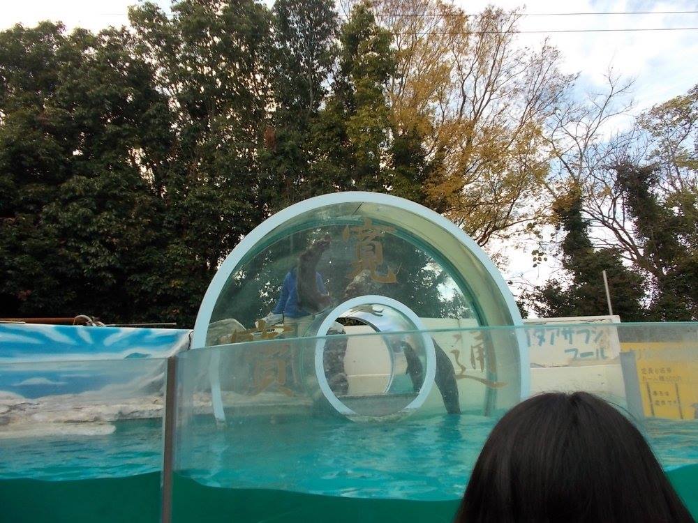 讃岐うどんと新屋島水族館