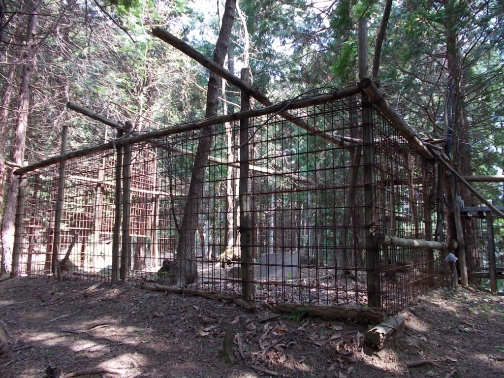 10：24　上ってすぐにある大きなクマの檻。