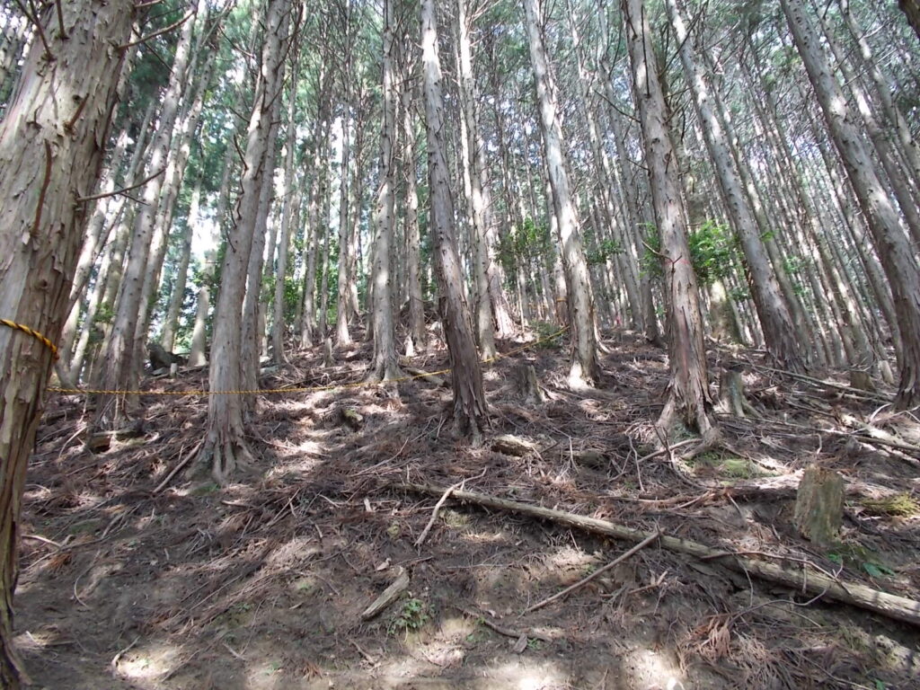 10：27　わかりにくいですがこんな感じ。周りは木ばかりで全然楽しくありません。