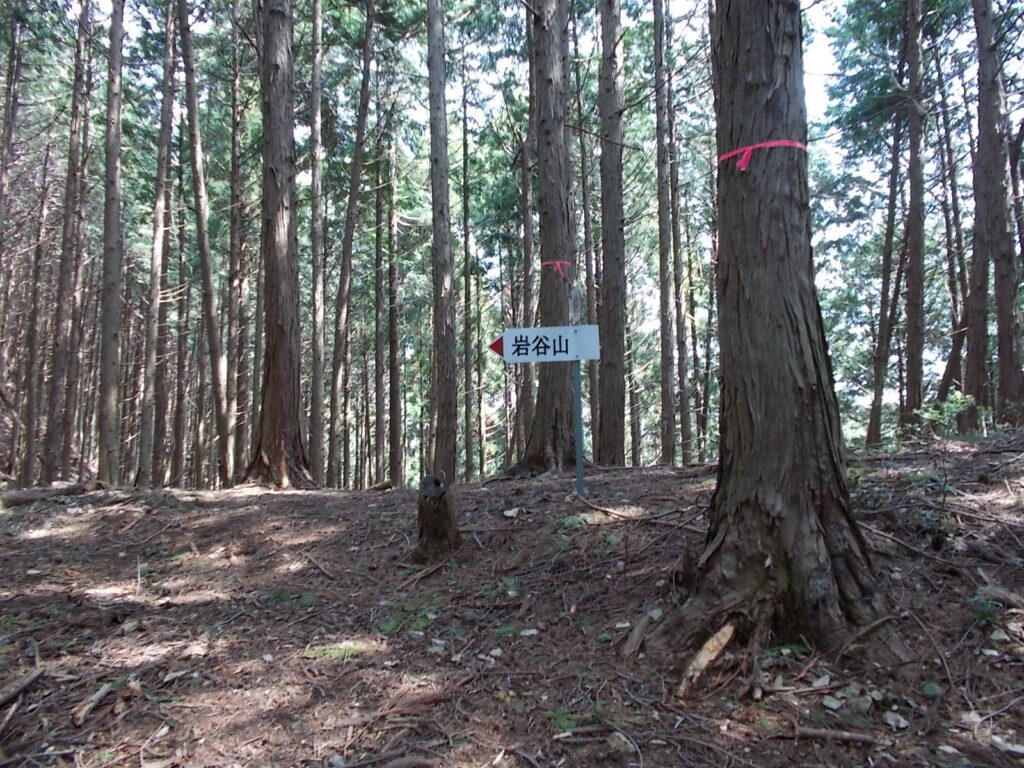 10：30　最初のピーク。尾根筋に出ます。