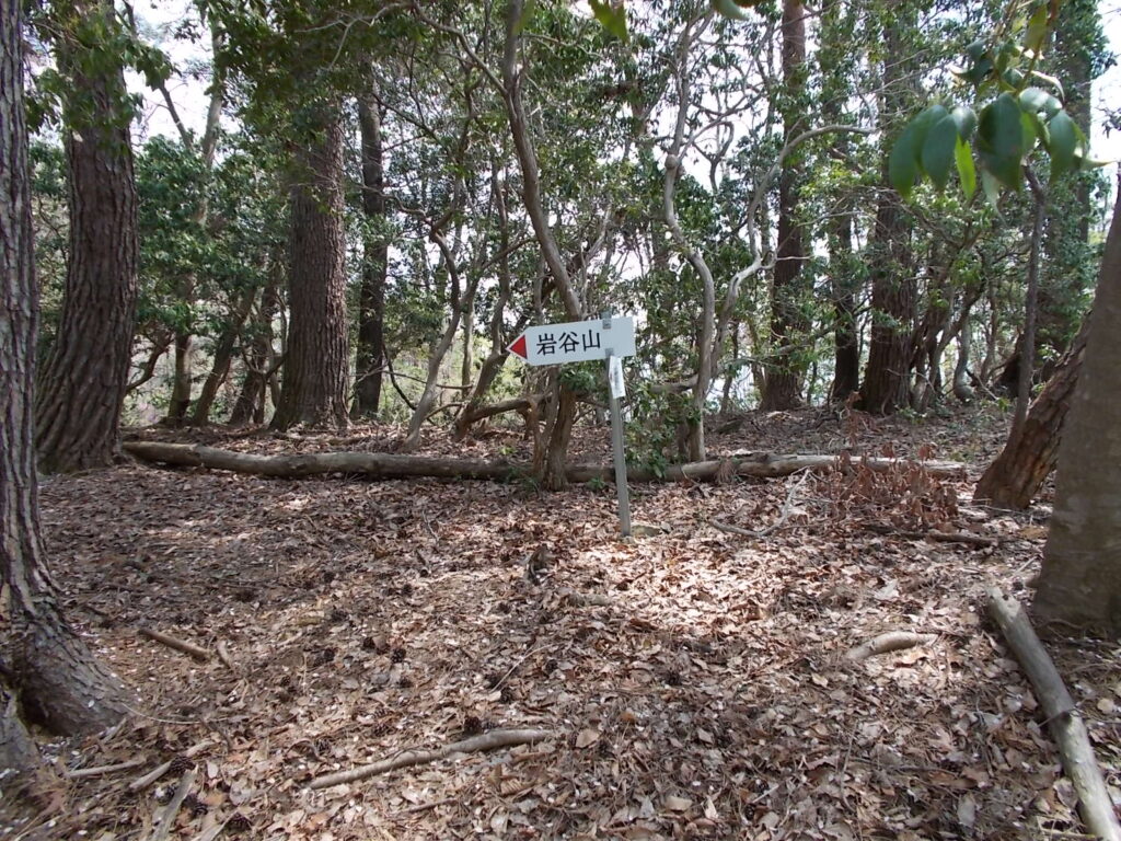 10：53　さらに次のピーク。同じようなピークが続きます。ピーク手前はかなりな登りです。