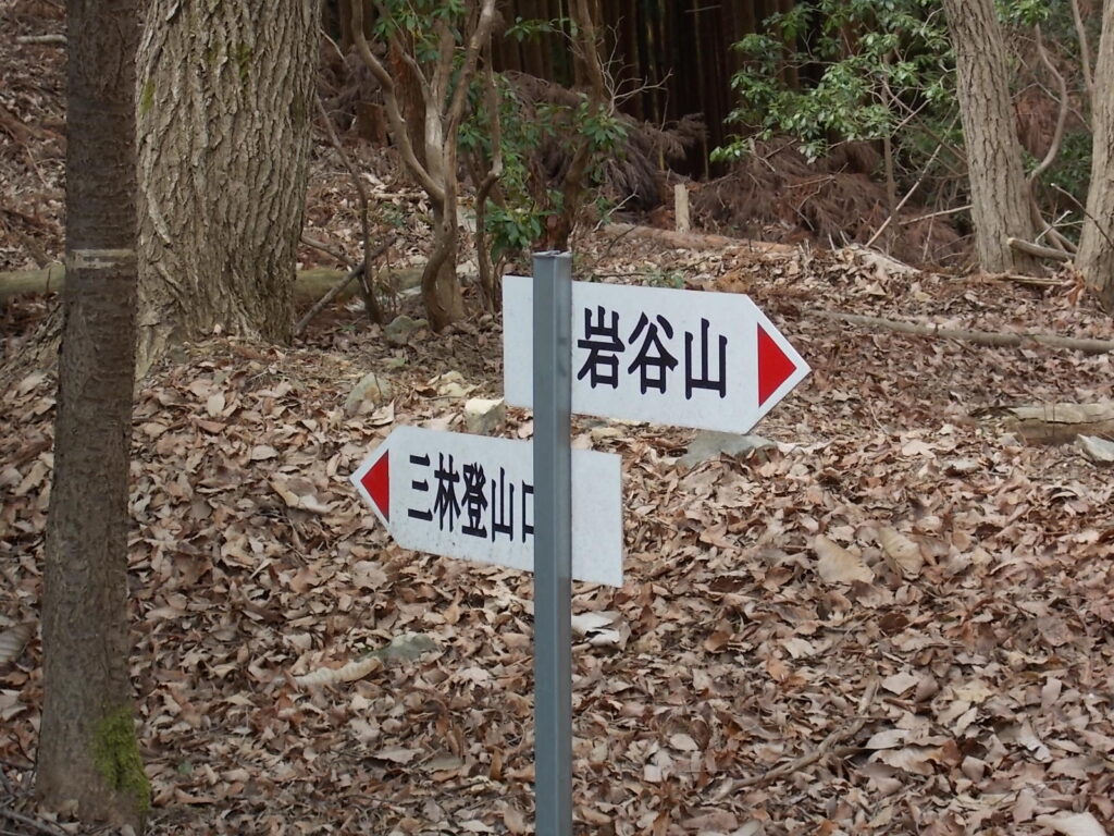 11：53　仕事道分岐に戻りました。