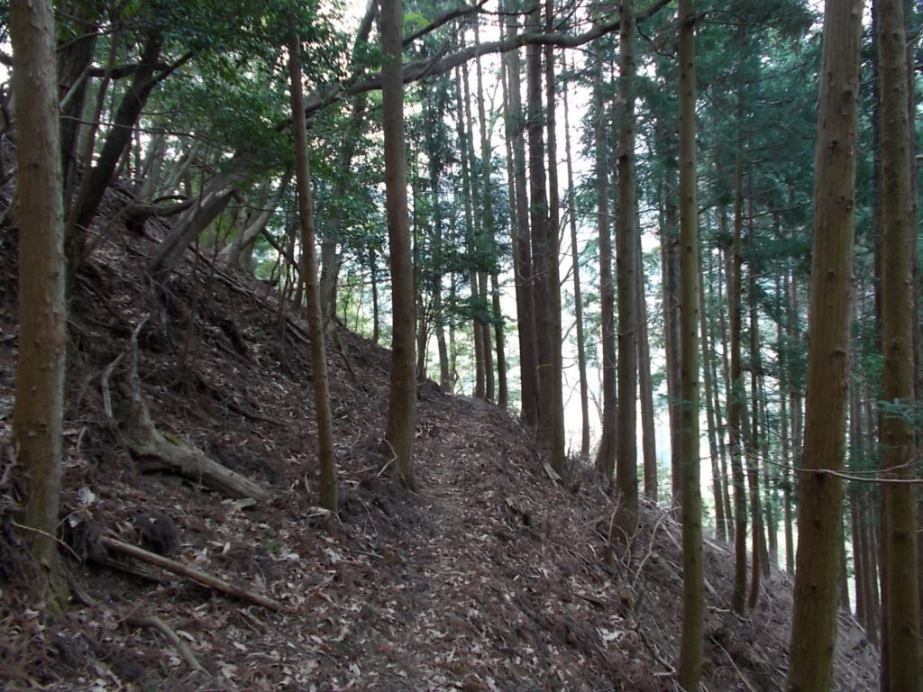 12：08　こんな斜面を下りていきます。