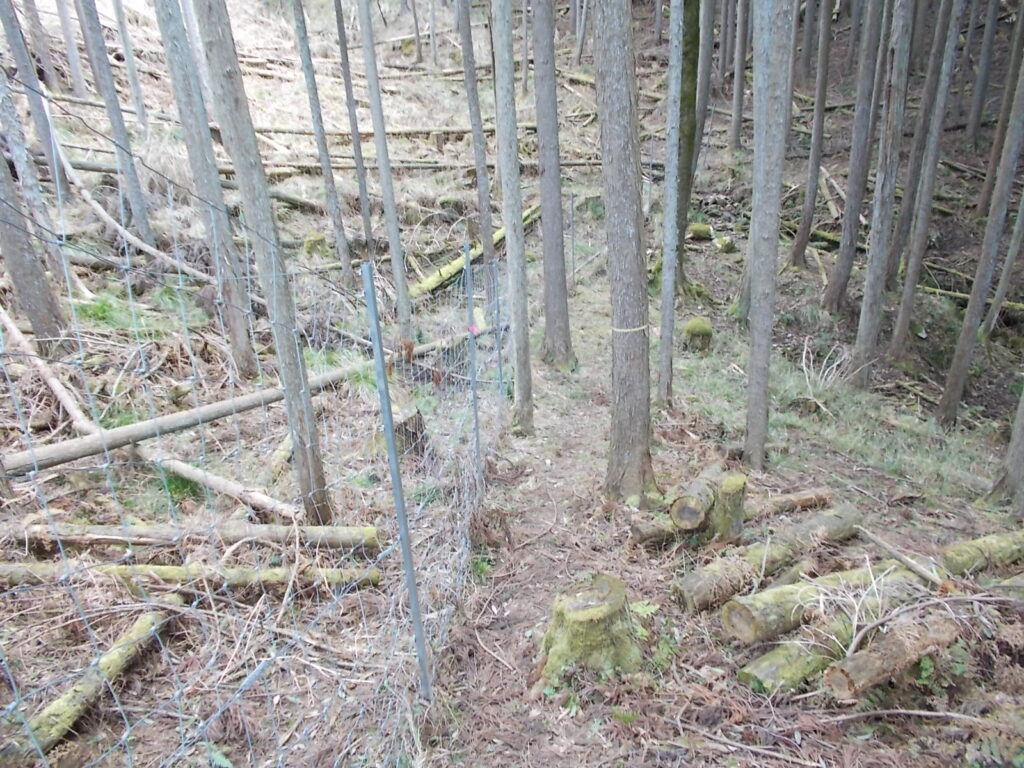 12：22　柵を出て、すぐ左へネット沿いを歩きます。