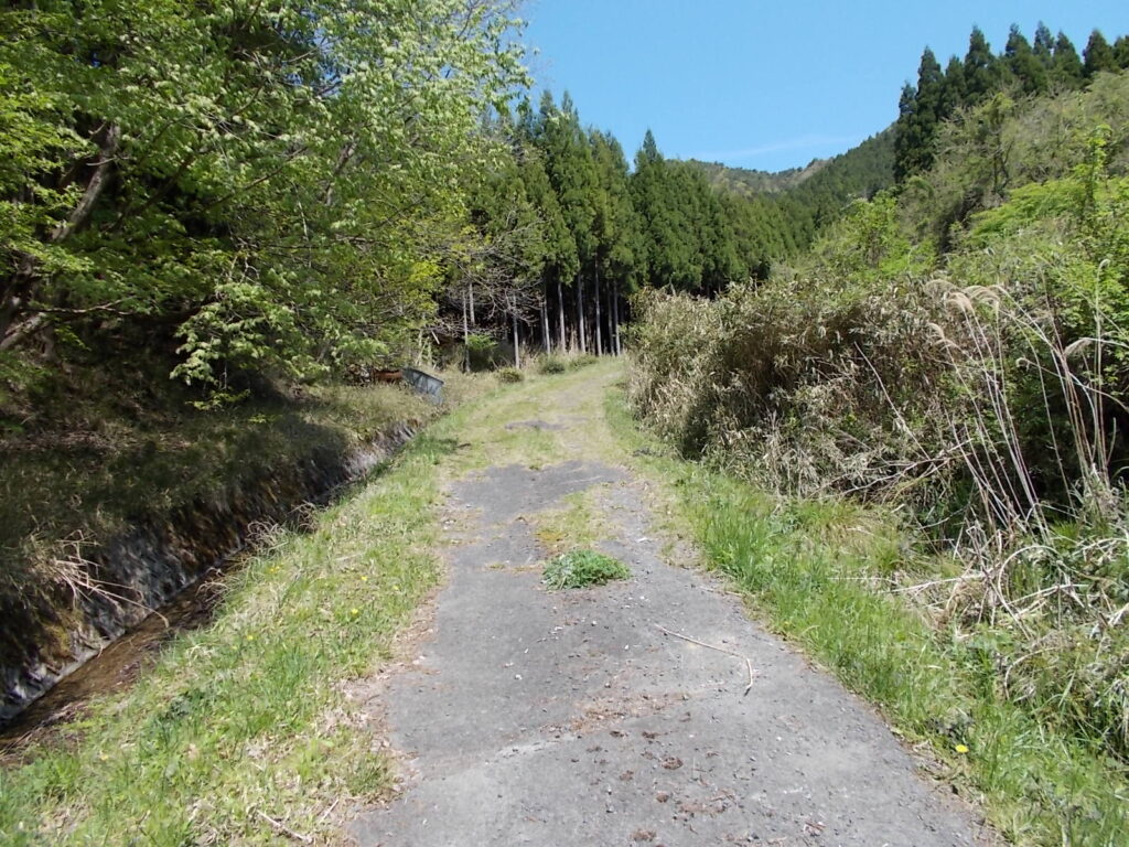 10：09　最初は舗装路を歩く。とっても良いお天気ですね。